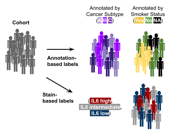 Patients have different labels or 'annotations'.