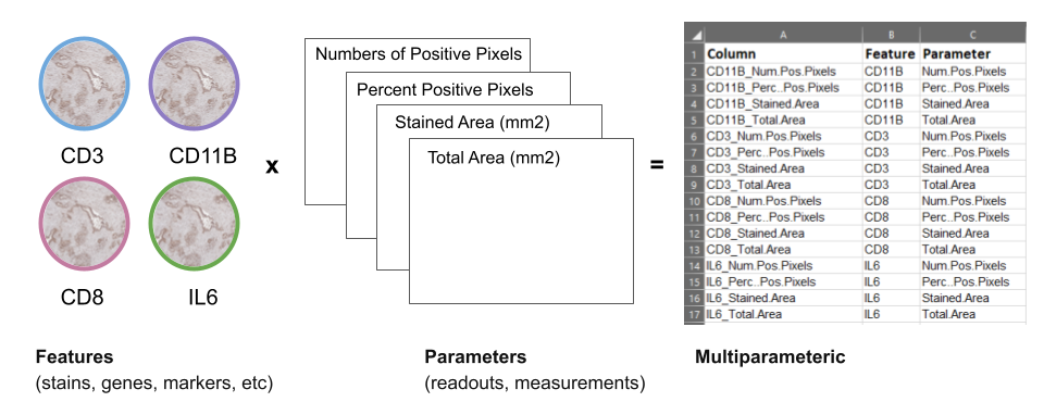 Columns in stain data can also have labels or 'annotations'.