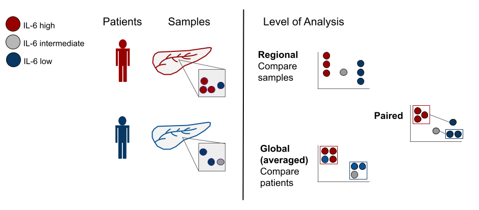 Patients have different labels or 'annotations'.